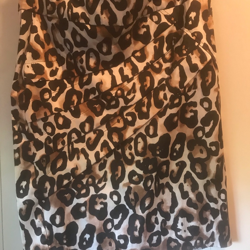 Animal Print Skirt